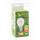 GREEN LIGHTS E14 Filament LED P45 4W