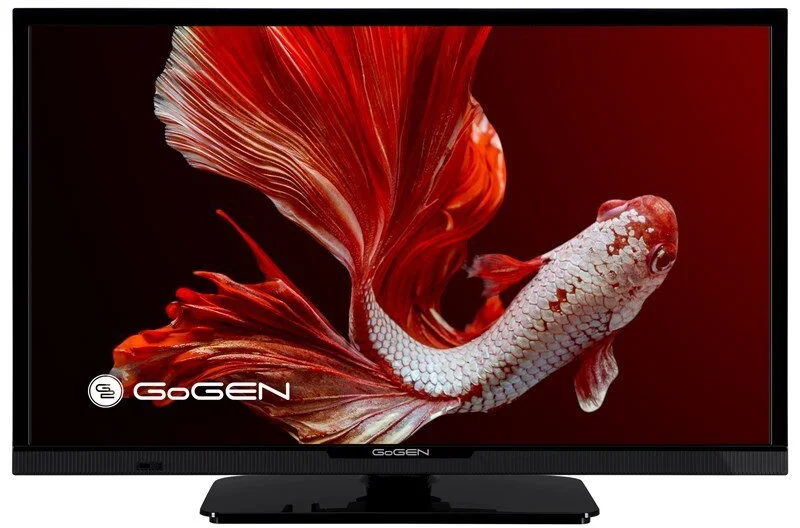 24" Gogen TVH 24P352T