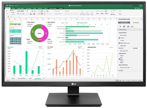24" LG 24BN55YP
