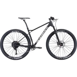 29" SILVERBACK 2019 Superspeed 1.0 - 16,5"/S - raw carbon/ arctic white/ aston black