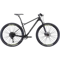 29"  SILVERBACK 2019 Superspeed 2.0 - 18,5"/M - raw carbon/ spring lime/ gunmetal