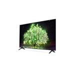 55" LG OLED55A13LA