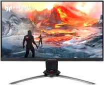 Acer Predator XB253QGX, 24,5" (UM.KX3EE.X07)