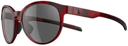 ADIDAS Eyewear BEYONDER - red havanna - grey