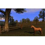 Agricultural Simulator 2011 Extended Edition