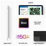 Apple iPad Pro M2 2022 11" Wi-Fi+Cellular 256GB Space Grey (MNYE3FD/A)