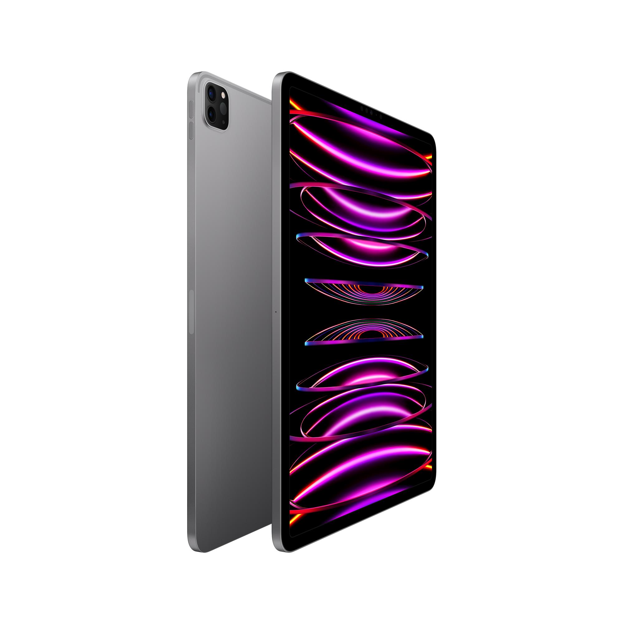Apple iPad Pro M2 2022 12,9" Wi-Fi 256 GB vesmírne sivý (MNXR3FD/A)