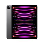 Apple iPad Pro M2 2022 12,9" Wi-Fi 256 GB vesmírne sivý (MNXR3FD/A)