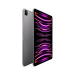 Apple iPad Pro M2 2022 12,9" Wi-Fi+Cellular 256GB Space Grey (MP203FD/A)