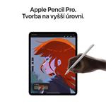 Apple iPad Pro M4 2024 13" Wi-Fi + Cellular 256 GB Space Black (MVXR3HC/A)