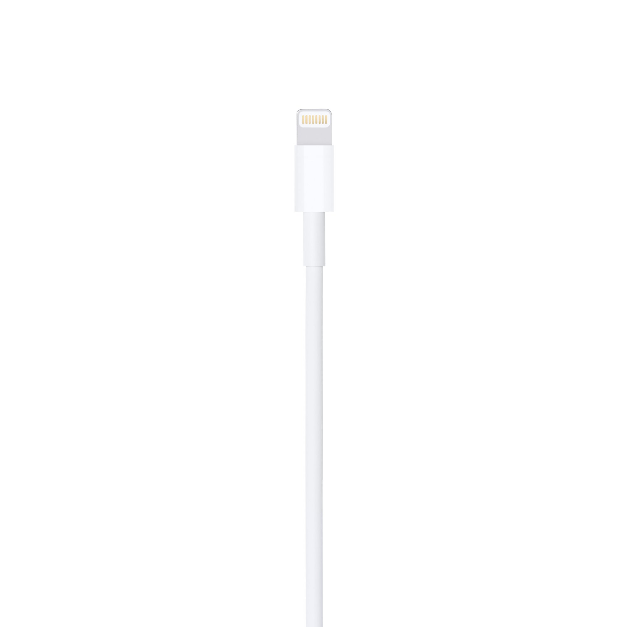 Apple Lightning to USB Cable (1m) (MUQW3ZM/A)