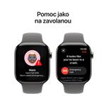 Apple Watch Series 10 GPS + Cellular 42mm Natural Titanium Case with Stone Grey Sport Band - M/L (MWXE3QC/A)