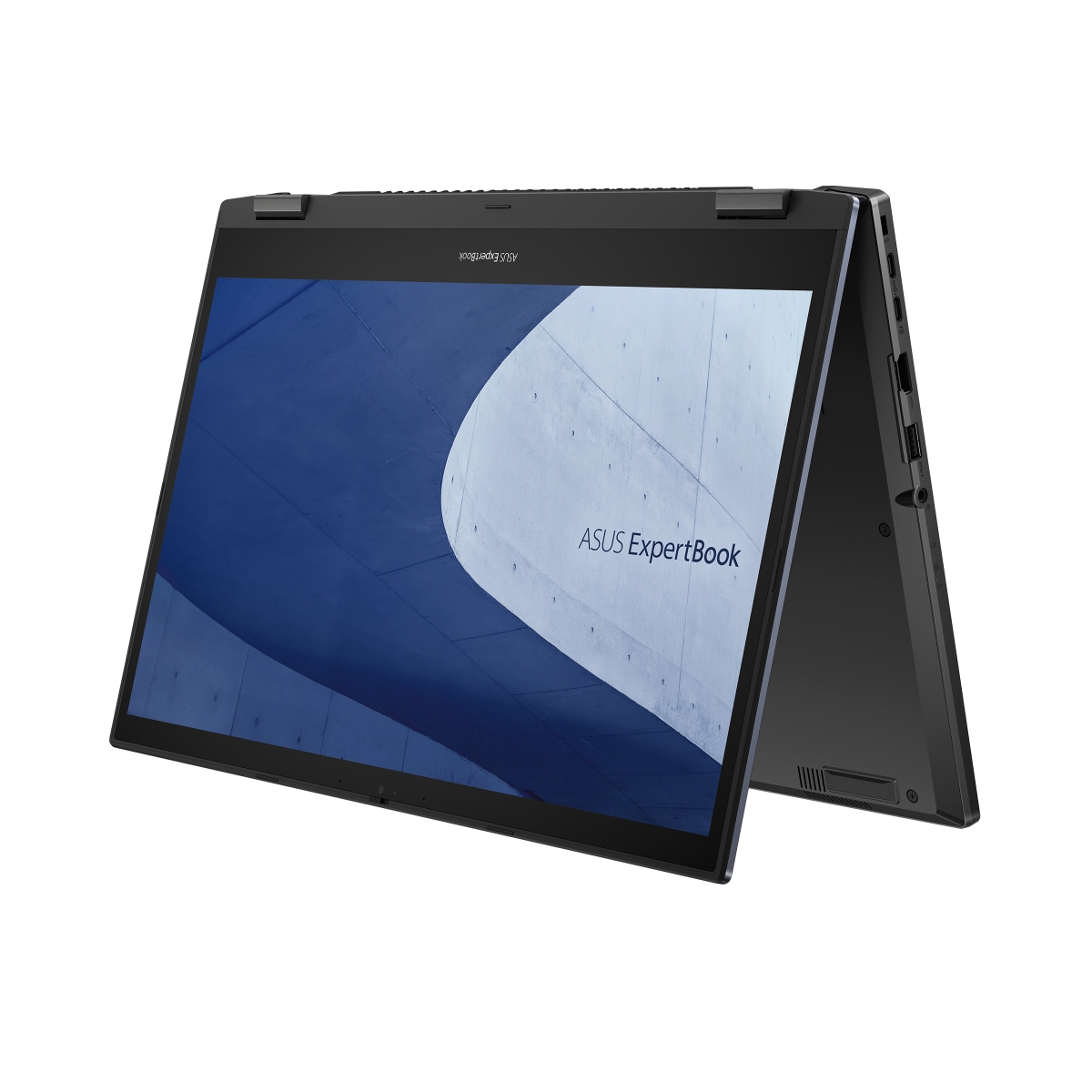 ASUS ExpertBook L2 Flip L2502FYA-E60002X Black