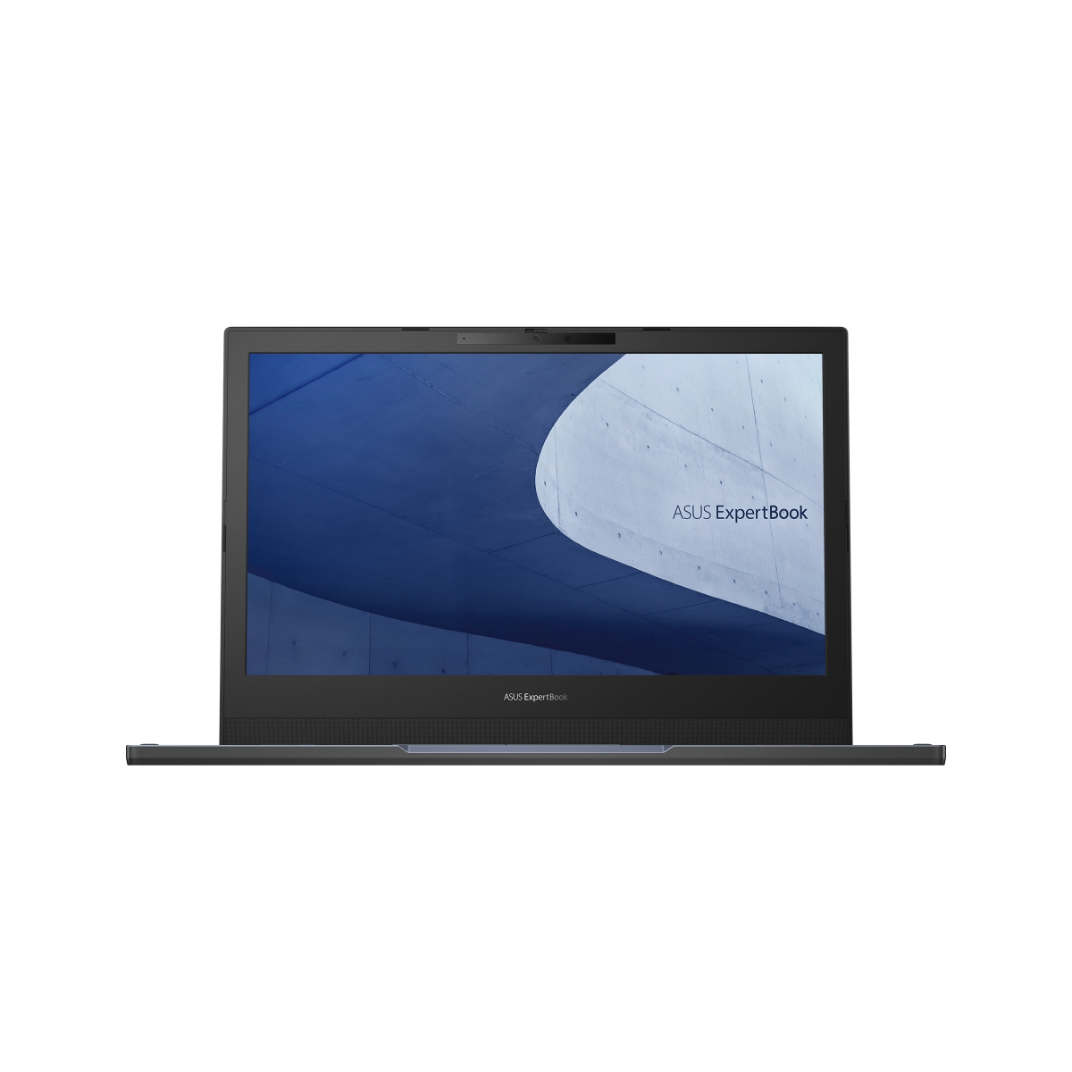 ASUS ExpertBook L2 L2402CYA-EB0009X čierna