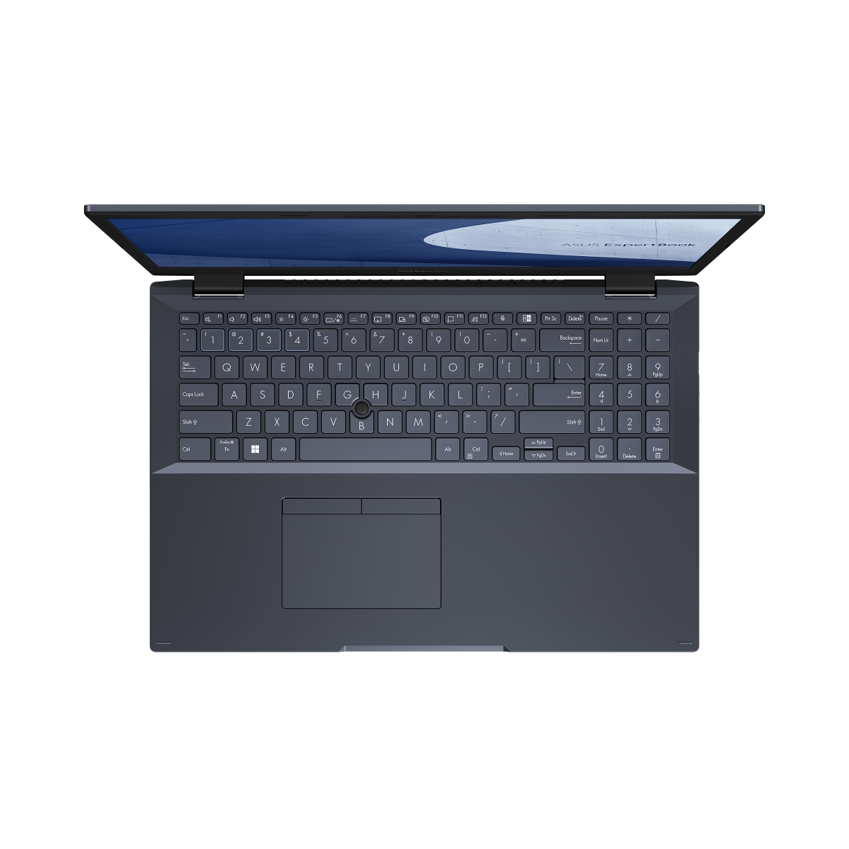 ASUS ExpertBook L2 L2502CYA-BQ0003X čierna