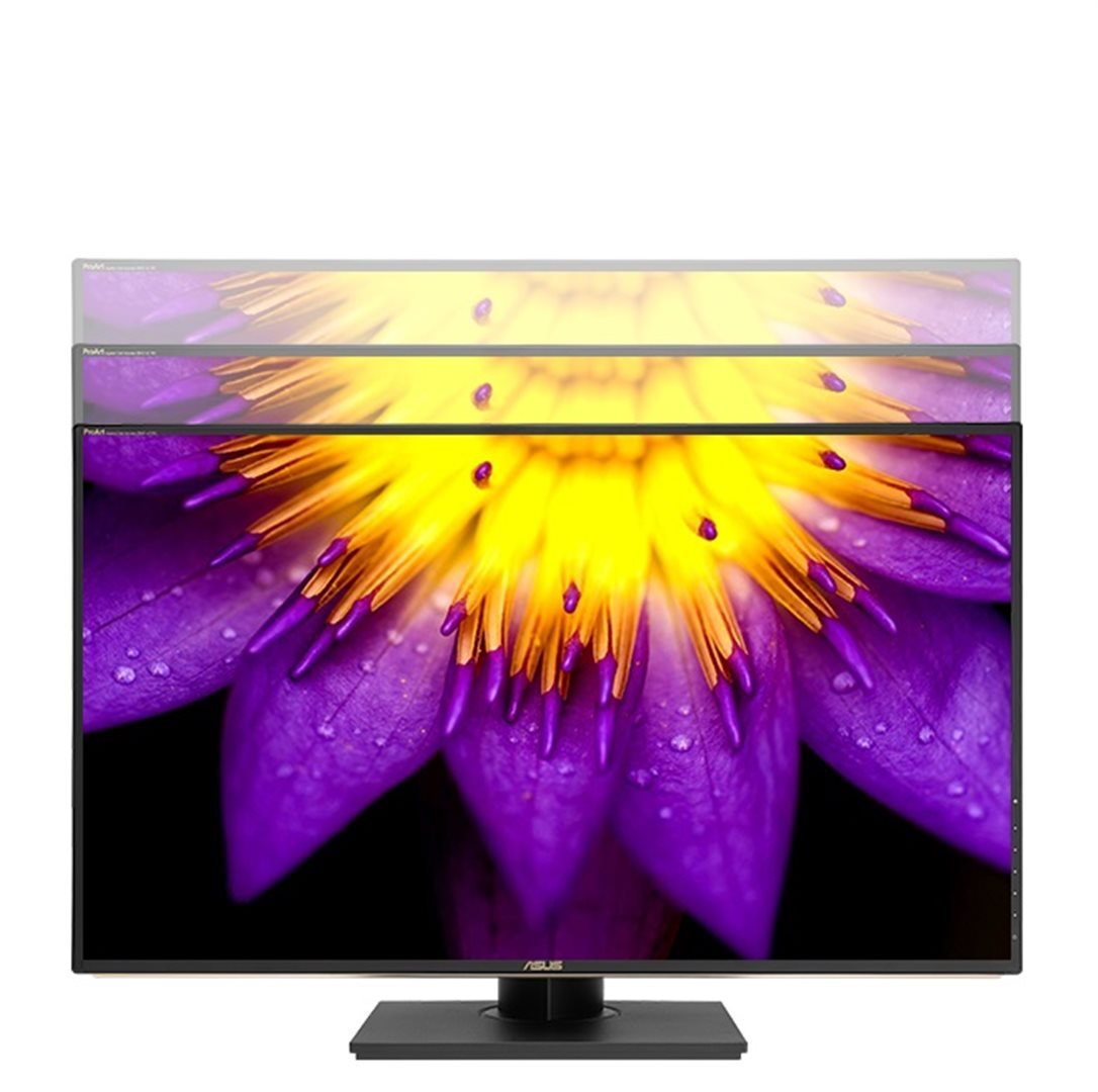 ASUS ProArt PA329C 90LM02CC-B03370