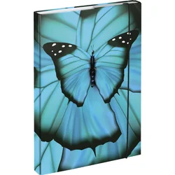 BAAGL Desky na školní sešity A4 Butterfly