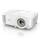 BenQ EH600 (9H.JLV77.13E)