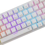 Biely žralok WAKIZASHI 2, biely (US + modré spínače)