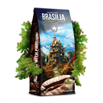 Blue Orca Fusion Brasilia Fazenda Grande