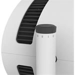 Boneco F210, bílo-černá