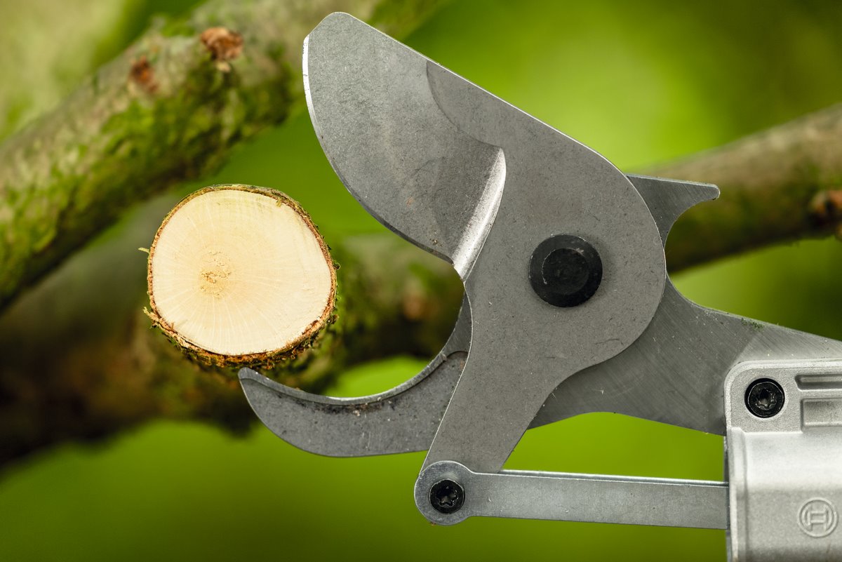 BOSCH PRO GGP18V-45EP Akumulátorový prořezávač větví (0.600.8D8.002)