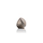 Bowers & Wilkins Zeppelin Pro Solar Gold
