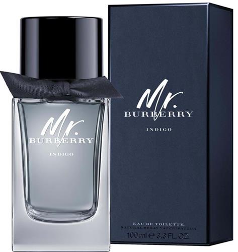 Burberry Mr. Burberry Indigo EdT 100 ml Pro muže