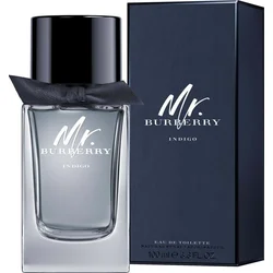 Burberry Mr. Burberry Indigo EdT 100 ml Pro muže
