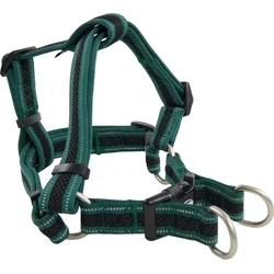 Buster Harness Airmesh reflexný M, 25 mm zelený