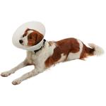 Buster Límec ochranný neprůhledný Classic Collar 10cm