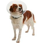 Buster Límec ochranný plastový Clic Collar 40cm