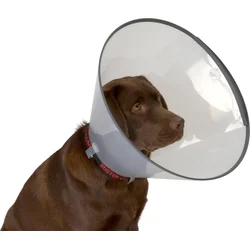 Buster Límec ochranný plastový Comfort Collar 30cm