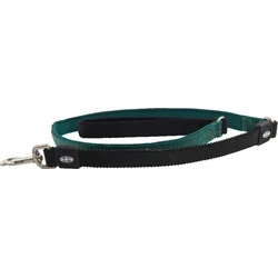 Buster Vodítko Neoprene Bungee S/M 180cm/20mm zelené
