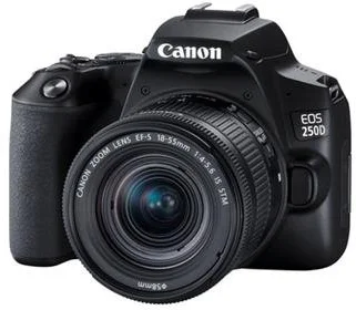 CANON EOS 250D EOS 250D EF-S 18-55 IS STM EF 50 / 1.8 STM