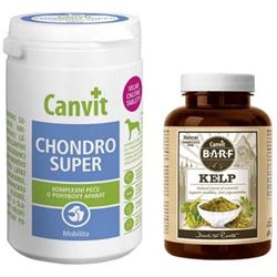 Canvit Chondro Super 230g + Canvit BARF Kelp pro psy 60g