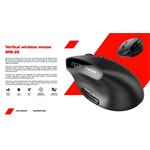 CANYON mouse MW-25 Ergonomic LED AA Dual mode Wireless Black