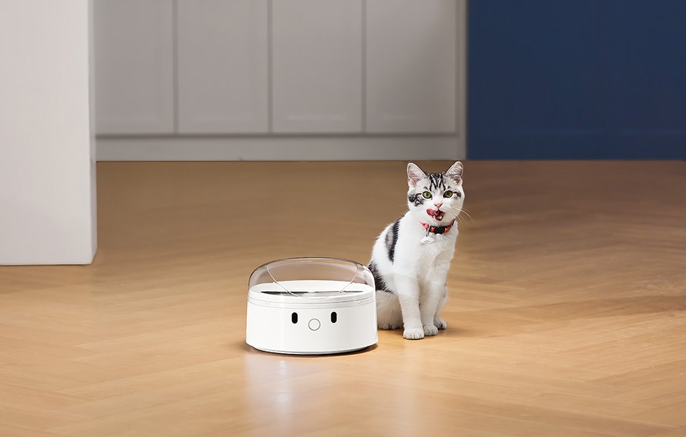 Catlink F03 Chytrý dávkovač krmiva (bílý)