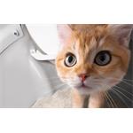 Catlink Scooper Pro Ultra Intelligent Self-Cleaning Cat Toilet