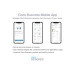 Cisco CBS220-24FP-4X-EU, prepínač