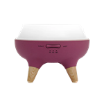 Concept DF1011 Aroma difuzér Perfect Air Berry