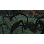 Dark Eye Demonicon