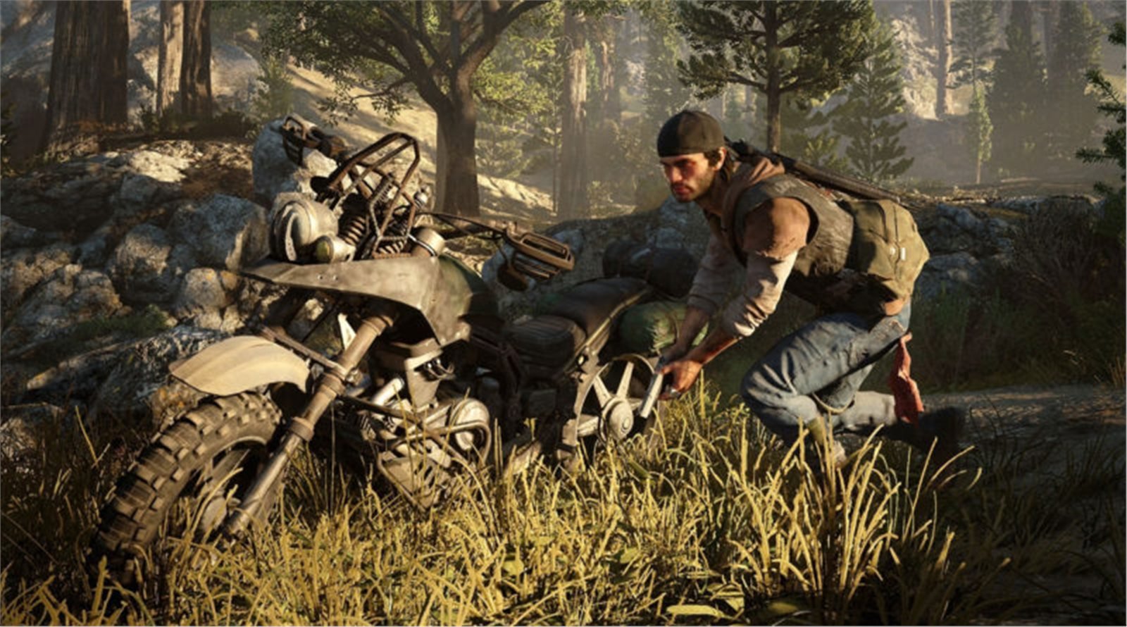 Days Gone (PS4)