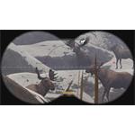 Deer Hunter Reloaded