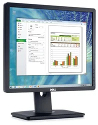 Dell P1913S Professional (857-10604)