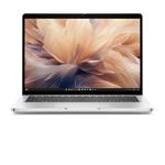 DELL Pro 13 Plus PB13250 (WKC2D)