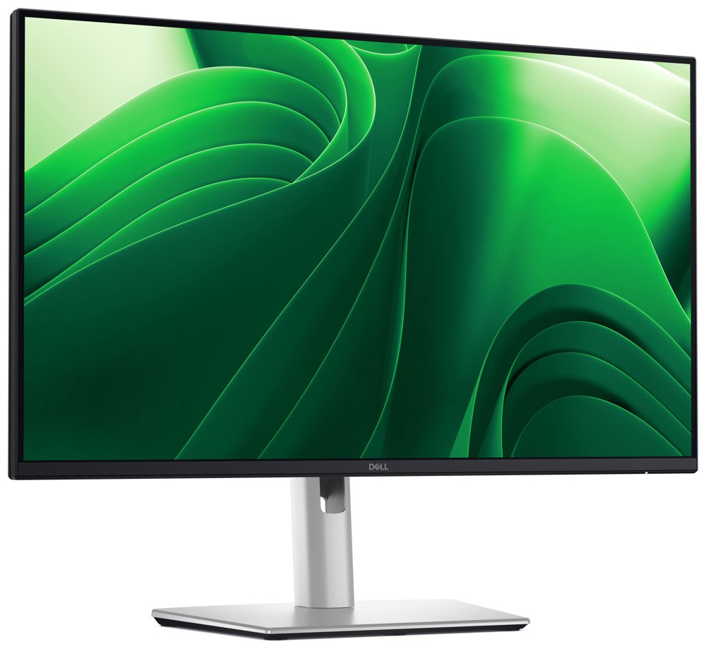 DELL Pro 24 Plus P2425D (210-BQMX)