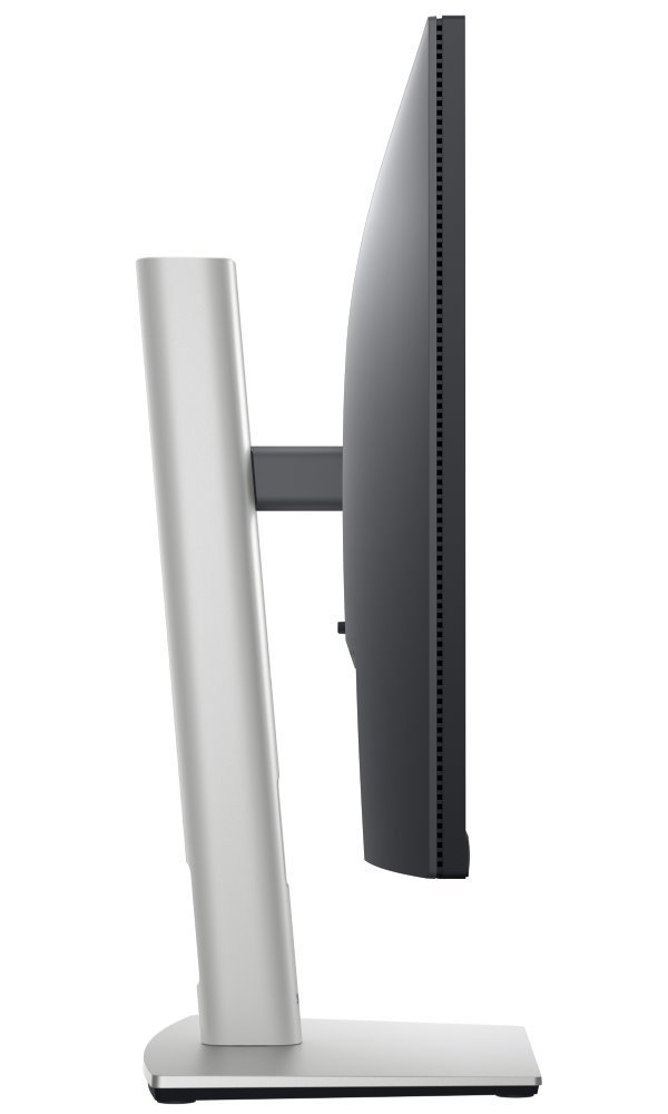 DELL Professional P2422HE (210-BBBG)