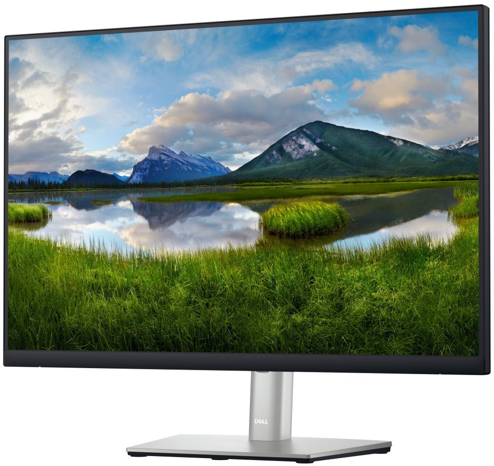 DELL Professional P2423 (210-BDFS)