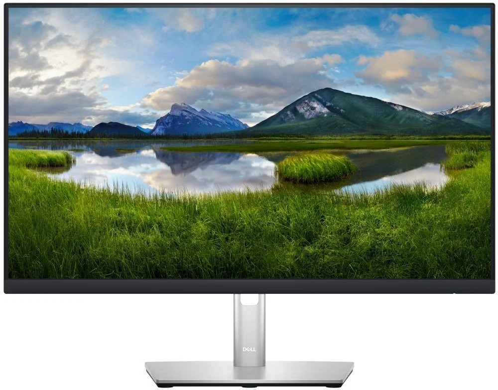 Dell Professional P2423DE (210-BDDW)